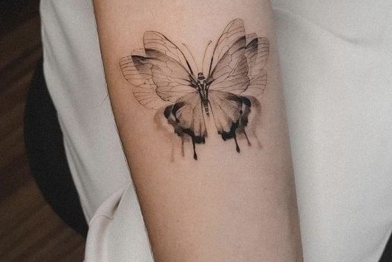 tatuaj fluture