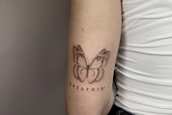 tatuaj fluture