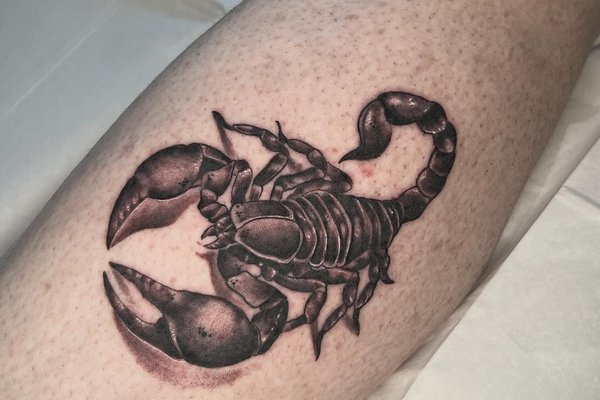 tatuaj scorpion
