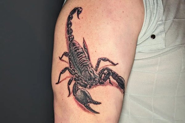 tatuaj scorpion