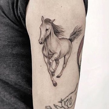 tatuaj cal
