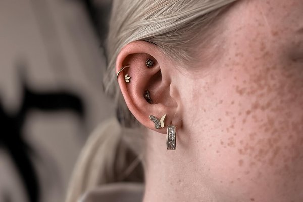 Piercingul Rook