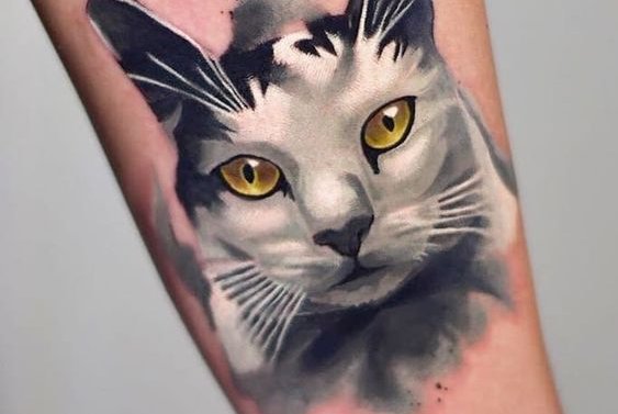 tatuaje cu pisici
