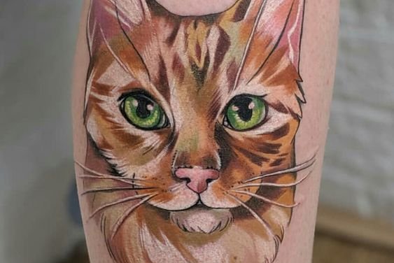 tatuaje cu pisici