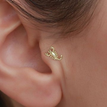 piercing tragus