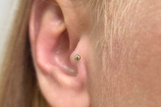 piercing tragus