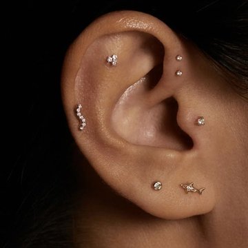 piercing tragus