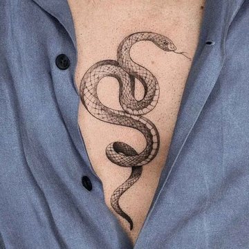 tatuaj cu șarpe